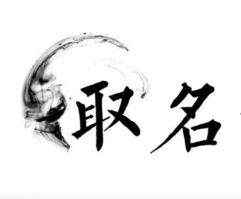  耒阳宝宝取名 大师一对一人工起名