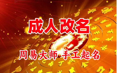 耒阳成人改名-找大师一对一改名先分析后改名